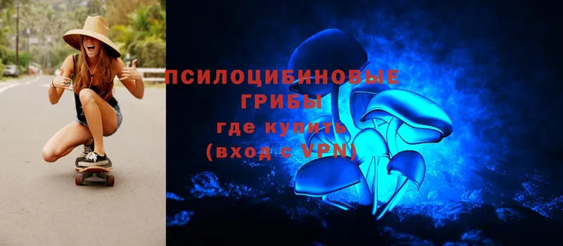 Галлюциногенные грибы Psilocybe  купить закладку  Белебей 