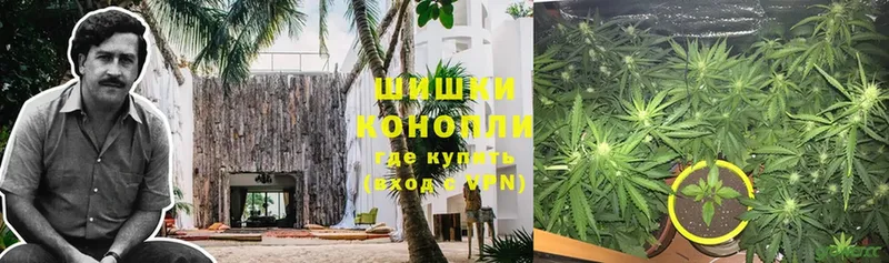 Конопля OG Kush  наркотики  Белебей 